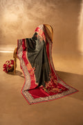 Pihu Shawl